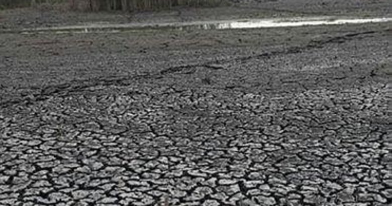 Eber Gölü pişmanlığı: Hiç bitmez, tükenmez sandık, o da canlıymış bilemedik