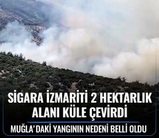 Muğla’daki orman yangınının nedeni belli oldu! Sigara izmariti 2 hektarlık alanı küle çevirdi