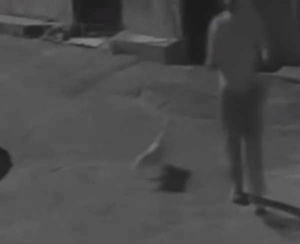 1790652504944.png