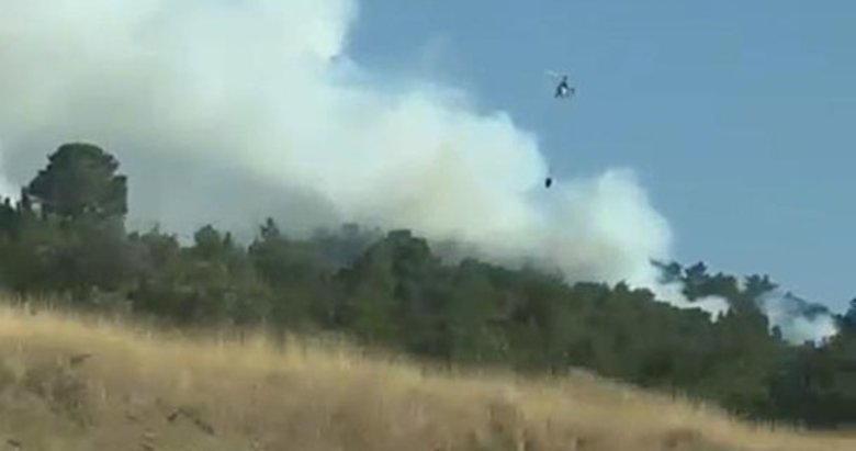 Kütahya’da orman yangını!