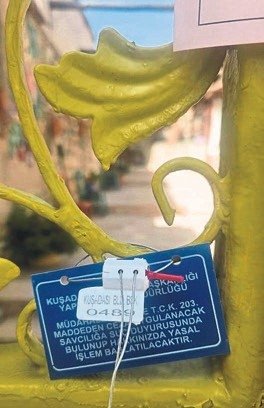 Avrupa Güzeli’nin taş evi kaçak çıktı