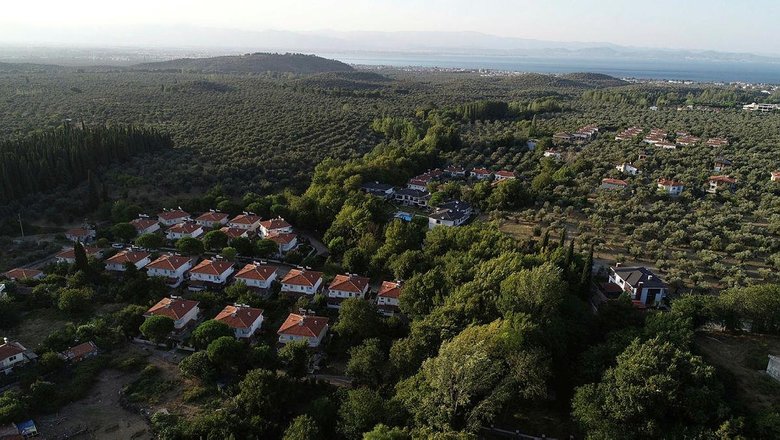 İşte Kaz Dağları gerçeği! Zeytinciliği inşaatla bitirdiler