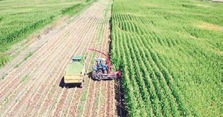 Tarımsal amaçlı örgütlere ilişkin esaslar düzenlendi