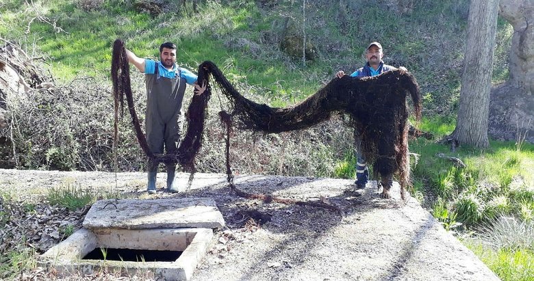 Manisa’nın Demirci ilçesinde su borularının içinden 10 metrelik ağaç kökü çıktı