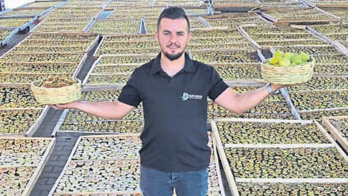 İncir cipsi dünya yolunda