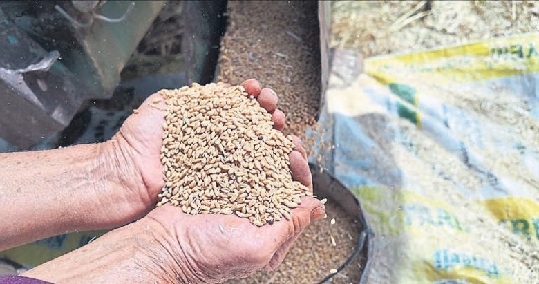 TMO’nun hububat stoğu artıyor