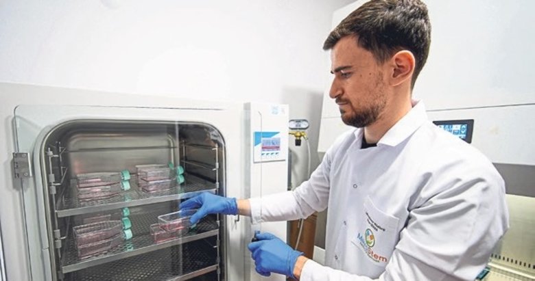 Kök hücre merkezi can dostlara umut oluyor