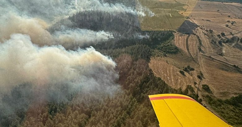Balıkesir’de iki ilçe arasındaki orman yanıyor