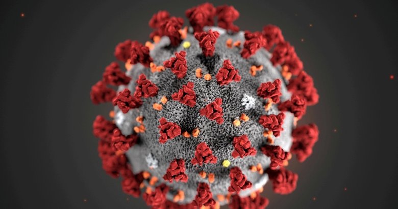 Bilim Kurulu üyesinden mutasyonlu virüs uyarısı: ’Öldürücülük oranı...’