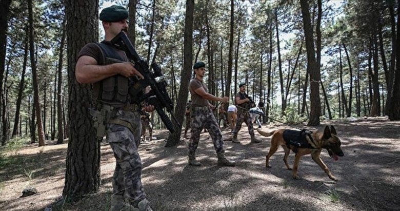 31 Ağustos’a kadar ormanlara giriş yasak
