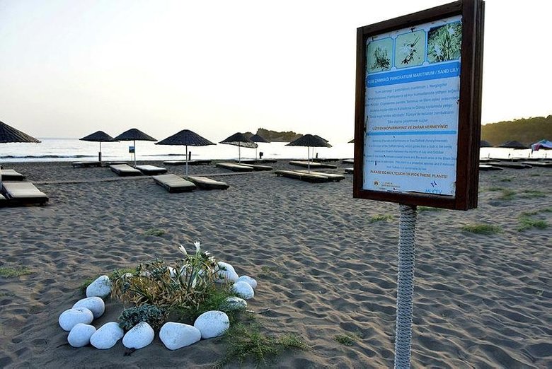 Plajda görürseniz dikkat edin! Binlerce lira cezası var