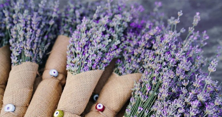 Tire lavanta festivali ile renklendi