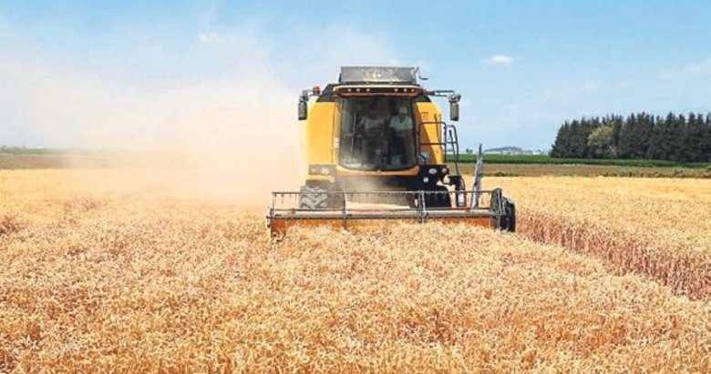 2023-2024 buğday üretim sezonu başladı