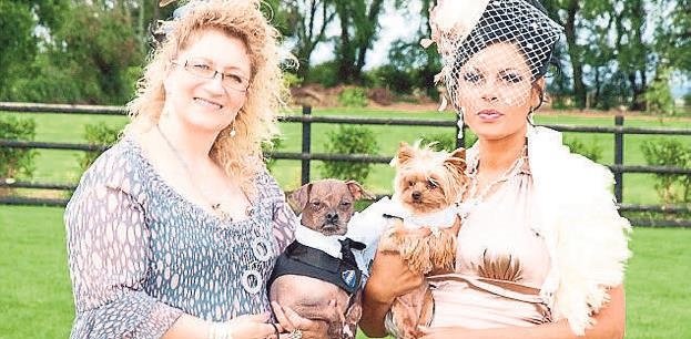 Sosyetenin yeni trendi köpek düğünü