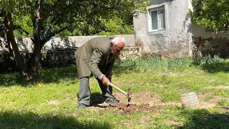 Tarlada emek yürekte sevda! Ayhan ve Emine’nin 68 yıllık aşkı...