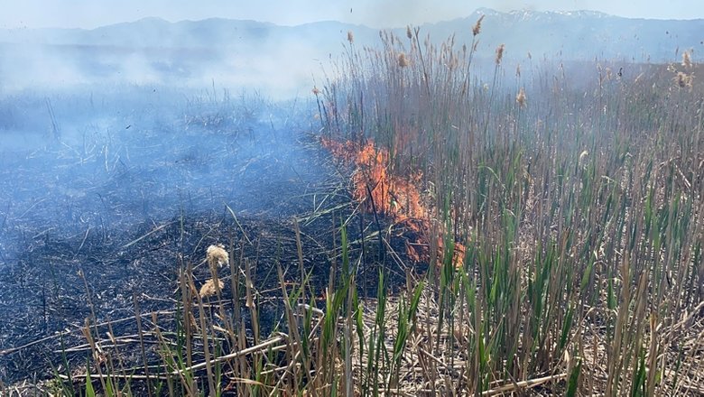 Afyon’da Eber Gölü’nde yangın