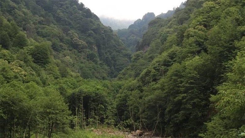 İzmir’de 26 bölgedeki ormanlık alana girişler yasaklandı