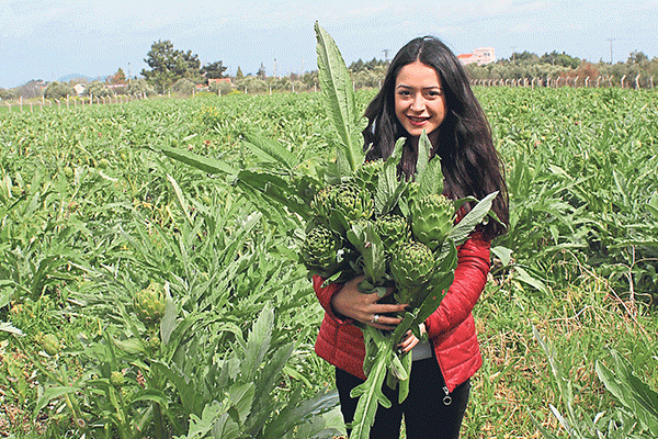 Enginar üreticisi GDO’dan şikayetçi