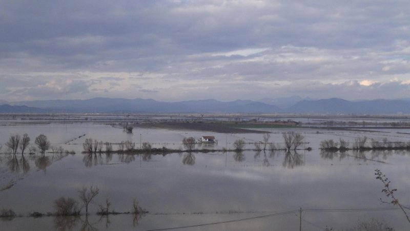 Büyük Menderes Nehri taştı! 40 bin dönüm arazi su altında