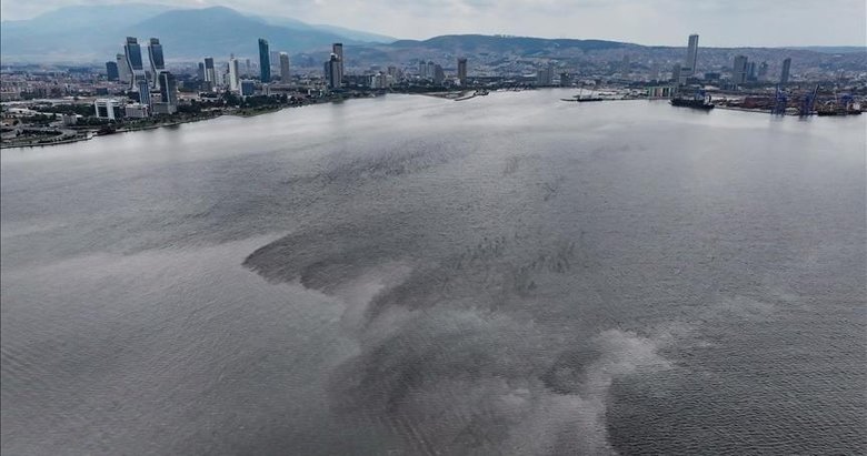 Hamza Dağ: Körfez’le ilgili bir çalışmaları olmamış