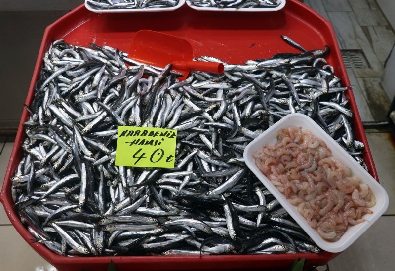 Çanakkale’de havalar ısındı balık tezgahları doldu! Balık fiyatları ne kadar oldu?