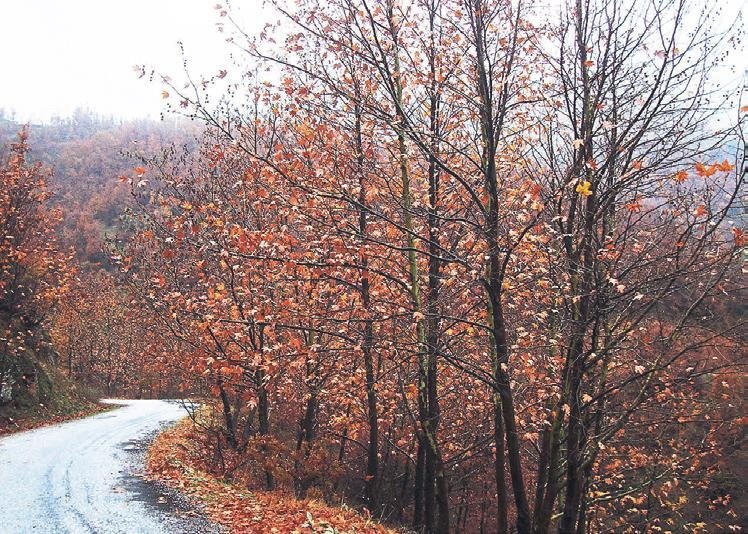 İzmir’in saklı güzeli Kiraz